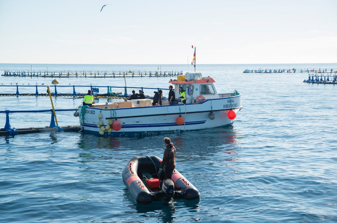 Fishing boat and crew working on a fish farm in the sea on a bright day.