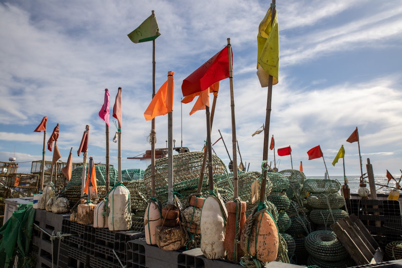 Vibrant fishing nets and floats with flags in Lavra, Porto, Portugal. Ideal for maritime themes.