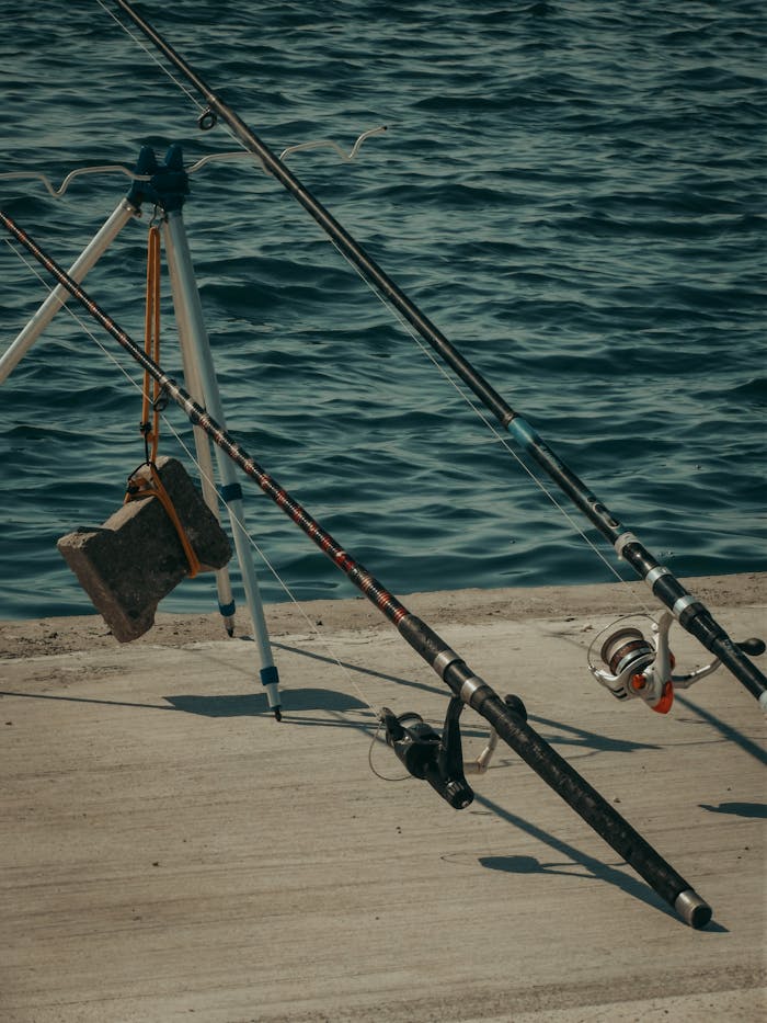 Fishing rods arranged on a concrete pier by the water, evoking leisure and hobbyist vibes.