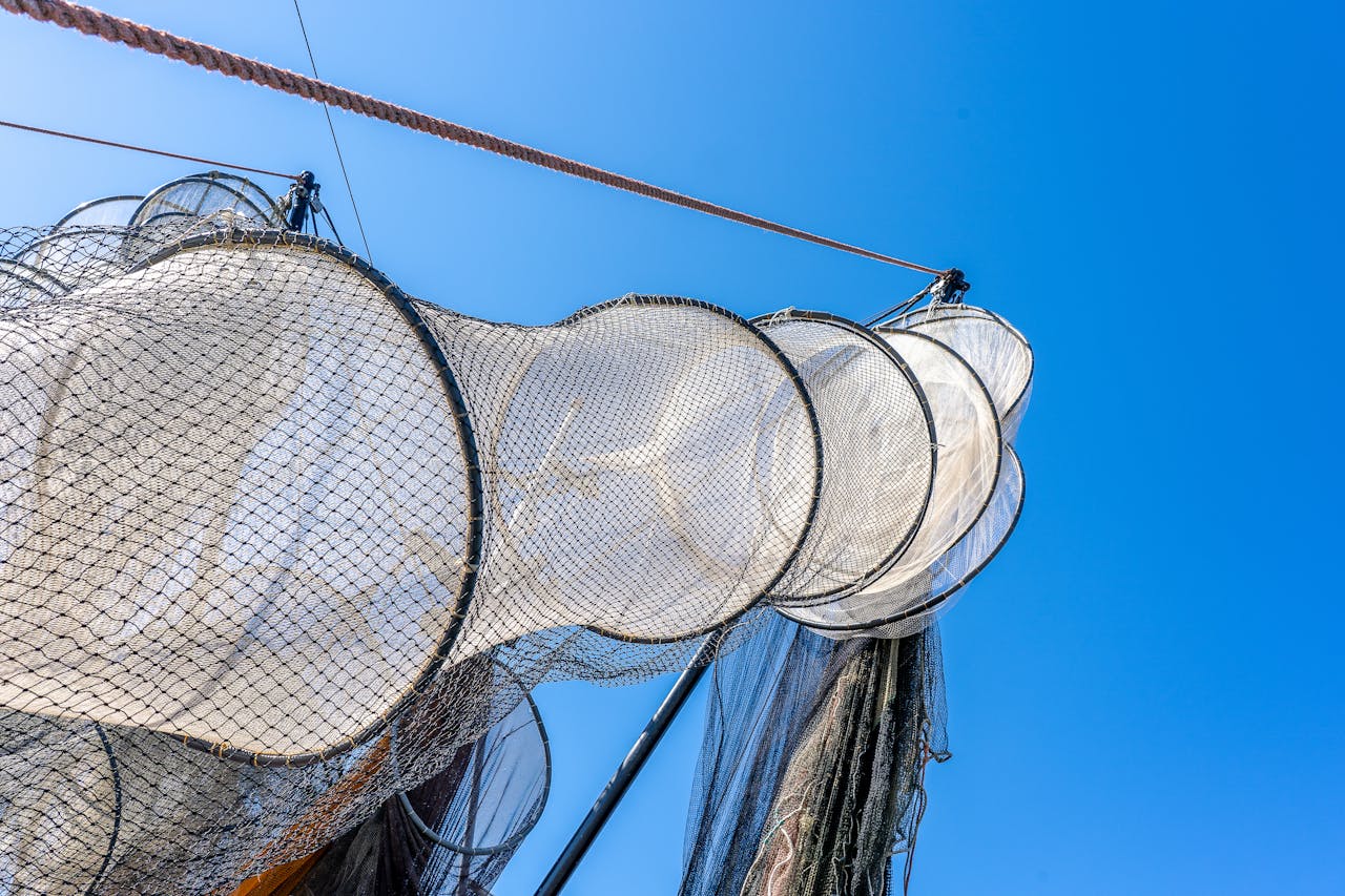 Close-up of fishing nets hanging against a clear blue sky on a sunny summer day.